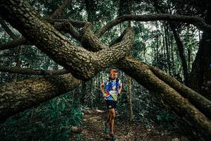 BIB: 
                            <button type="button" onclick="openModal(25707406)" class="btn btn-primary btn-sm float-right btn-popup" data-toggle="modal" data-target=".modal-high-quality">
                        <i class="fas fa-shopping-cart"></i> Add to Cart
                    </button>
                                            <button type="button" onclick="isThisMe(25707406, true)" class="btn btn-success btn-sm float-right btn-popup btn-isme hidden" data-toggle="tooltip" data-placement="bottom" title="นี่คือรูปของคุณใช่ไหม คลิกที่นี่เพื่อเอาเข้าอัลบั้ม">
                        <i class="fas fa-plus"></i> Add to album
                    </button>
                    <button type="button" onclick="isThisMe(25707406, false)" class="btn btn-warning btn-sm float-right btn-popup btn-isnotme hidden">
                        <i class="fas fa-ban"></i> Remove from album
                    </button>